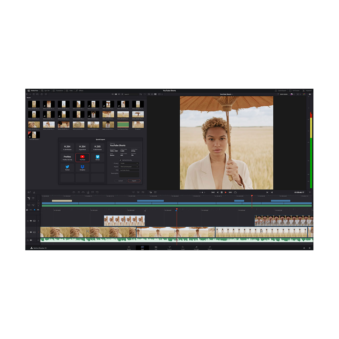 <p><strong>DaVinci Resolve</strong></p>